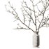 Dry Branches Bouquet18 - Thumbnail 4