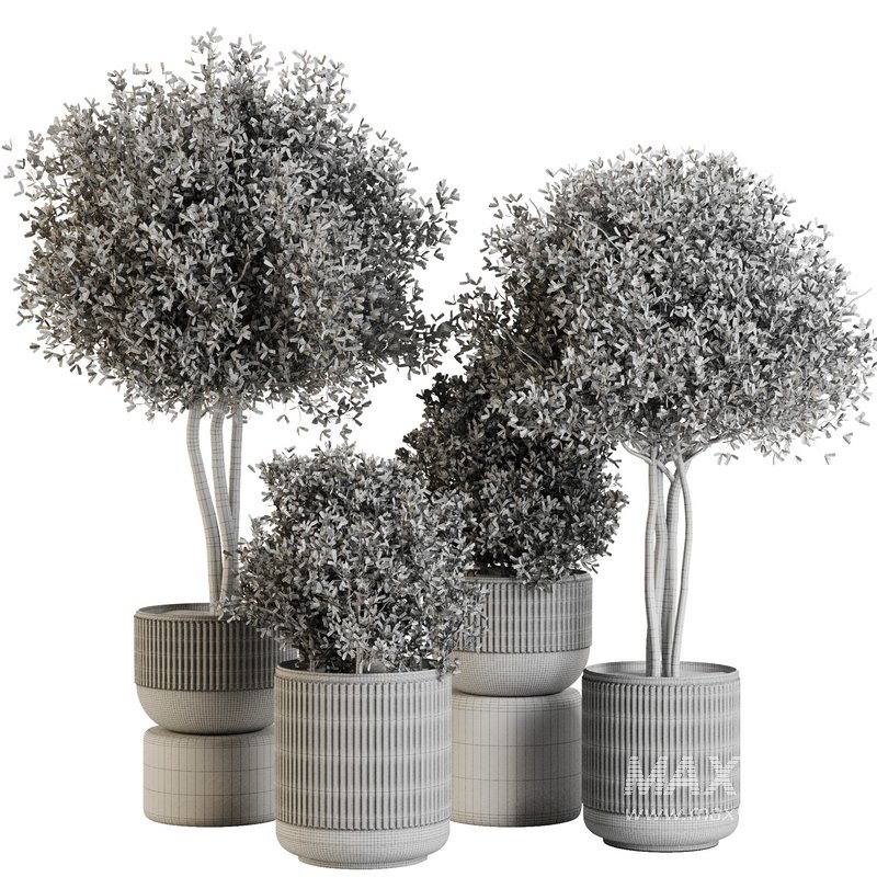 Indoor Plant Set43 - Image 4