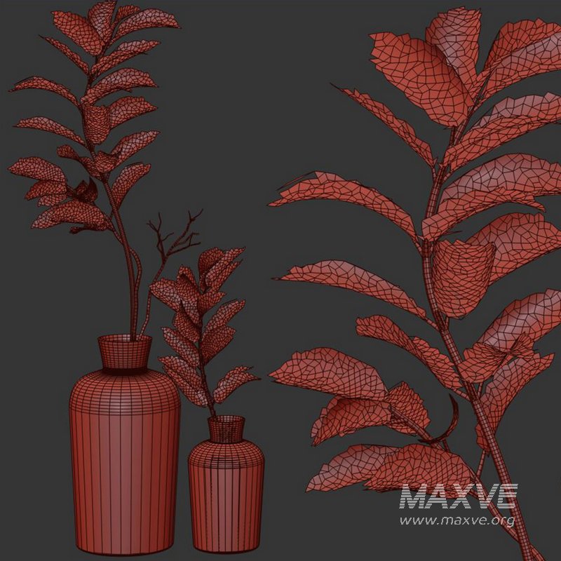 Dry Branches Bouquet20 - Image 4