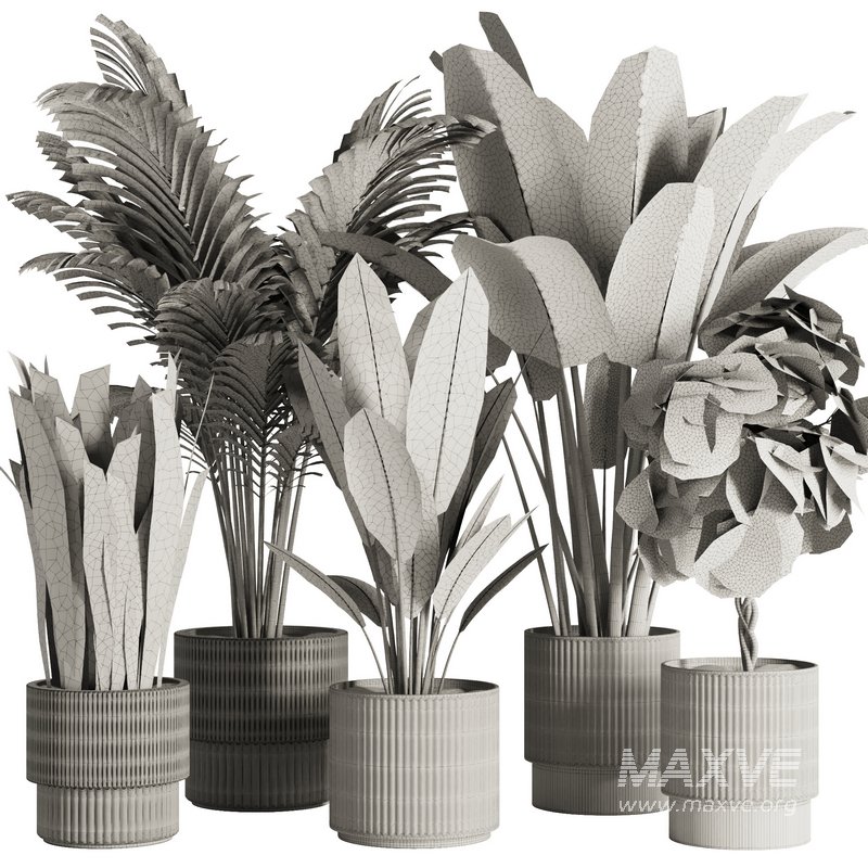 Indoor Plant Set45 - Image 5