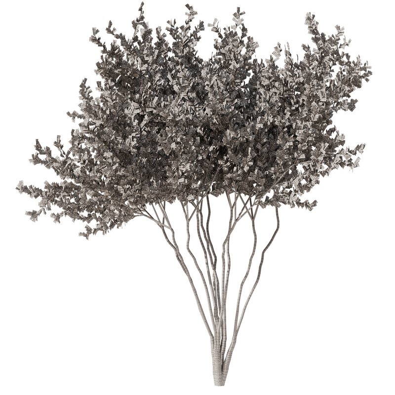 tree8 – autumn - Image 4