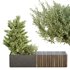 HQ Urban environment set of green plant benches 15 - Thumbnail 3