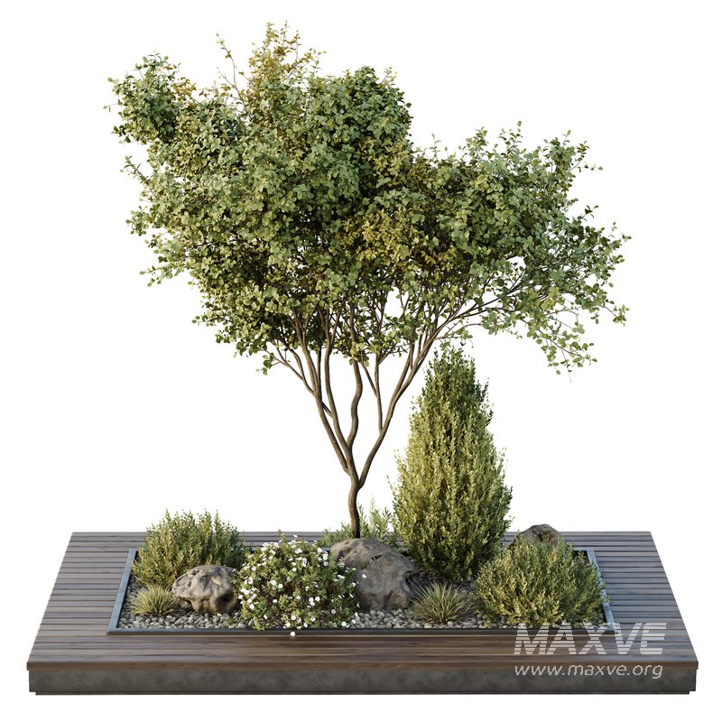 HQ Tree and bush garden box outdoor VOL 43 - Image 2