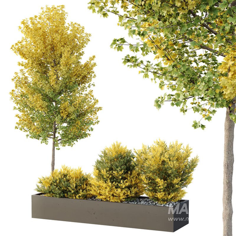 HQ Tree and bush garden box outdoor VOL 42 - Image 1