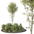 HQ Tree and bush garden box outdoor VOL 40 - Thumbnail 1
