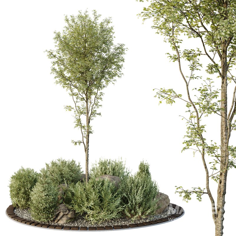 HQ Tree and bush garden box outdoor VOL 40 - Image 1
