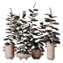 HQ HousePlants Rubber Ficus Elastica Abidjan Melany Set04 - Thumbnail 1