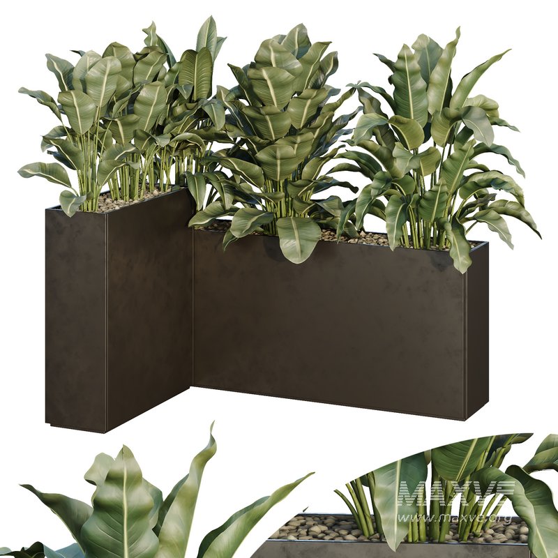 HQ Tree and bush garden box outdoor VOL 38 - Image 1