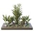 HQ Tree and bush garden box outdoor VOL 31 - Thumbnail 1