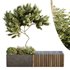 HQ Urban environment set of green plant benches 11 - Thumbnail 1