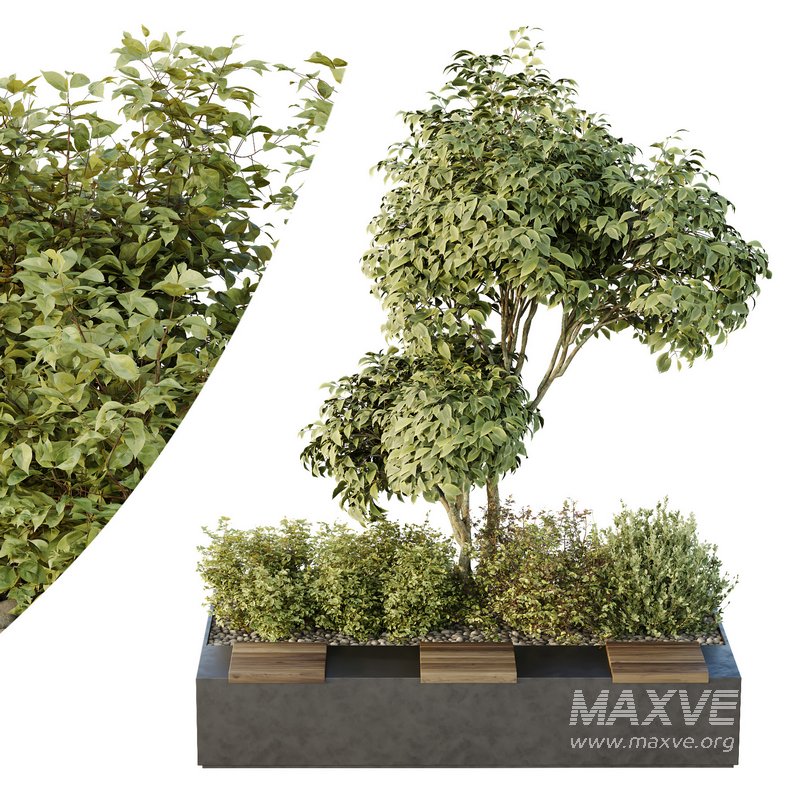 HQ Tree and bush garden box outdoor VOL 34 - Image 1