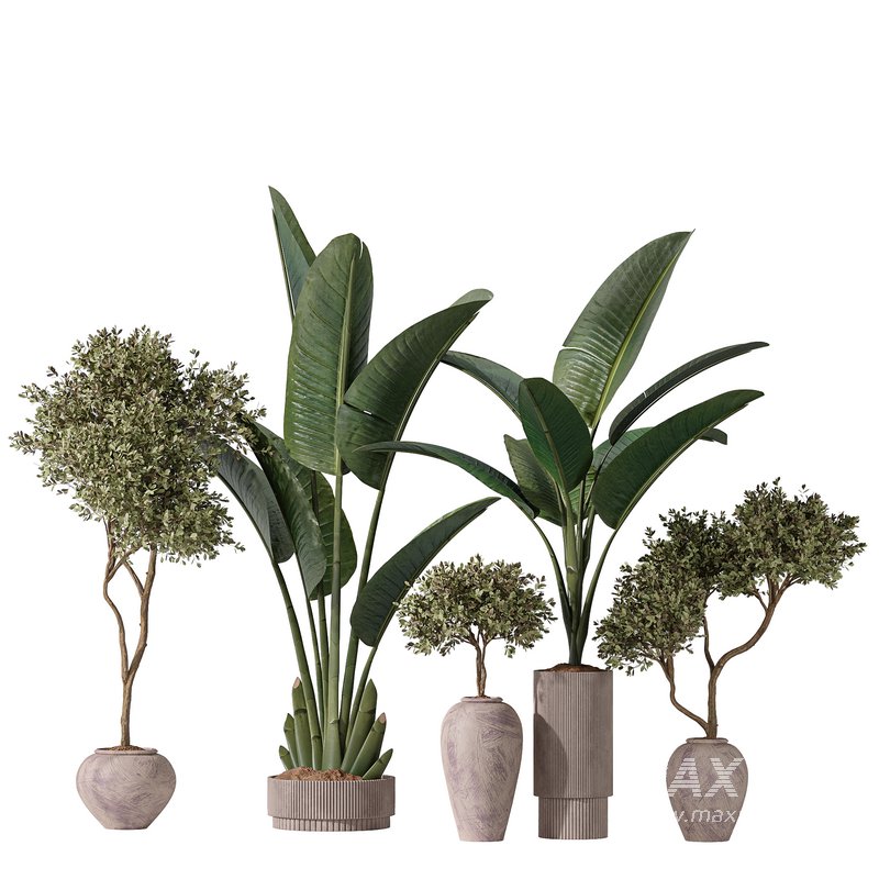 Bird Of Paradise Bird and Olive Tree Indoor Vase 11 - Image 1