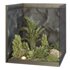 HQ Plants Indoor Set Box Glass02 - Thumbnail 1