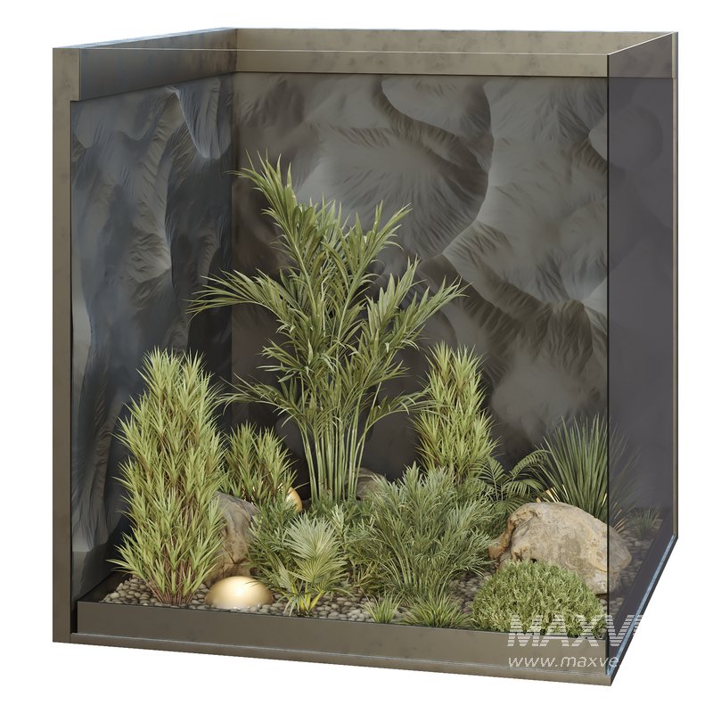 HQ Plants Indoor Set Box Glass02 - Image 1