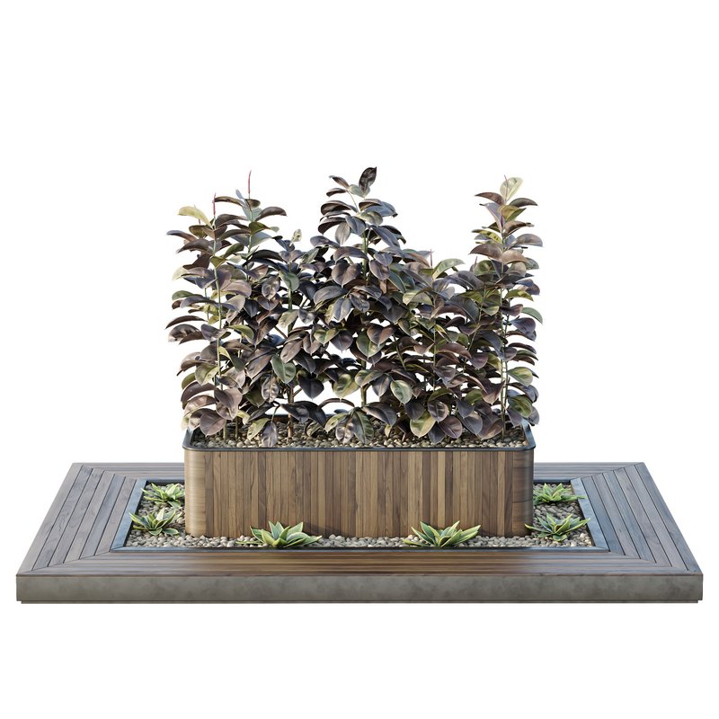HQ Tree and bush garden box outdoor VOL 33 - Image 3