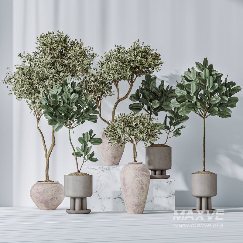 Elastica Abidjan Melany and Mission Olive Tree Vase 18 - Image 1