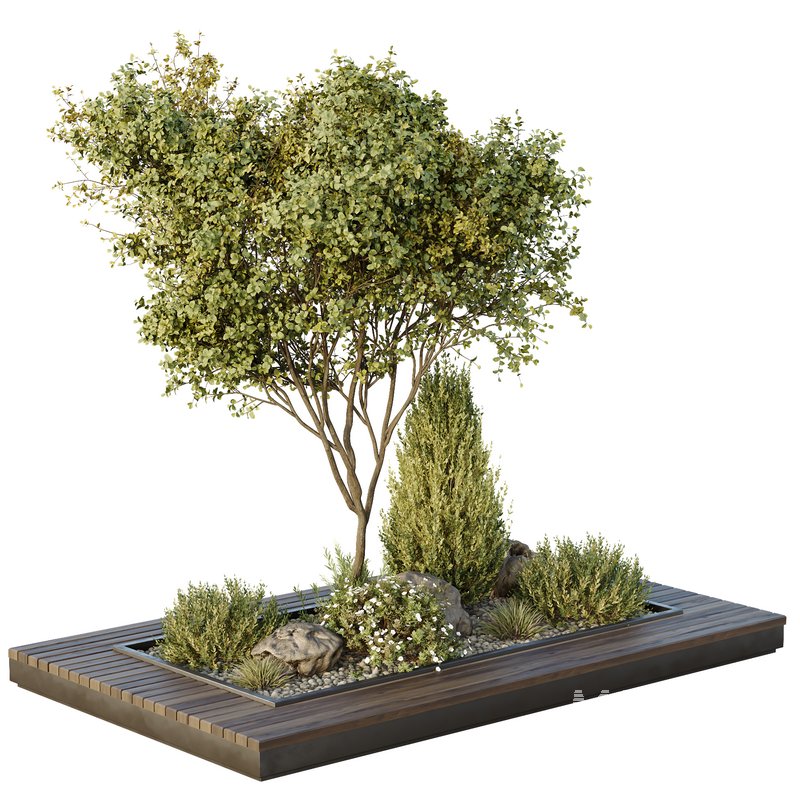HQ Tree and bush garden box outdoor VOL 43 - Image 1