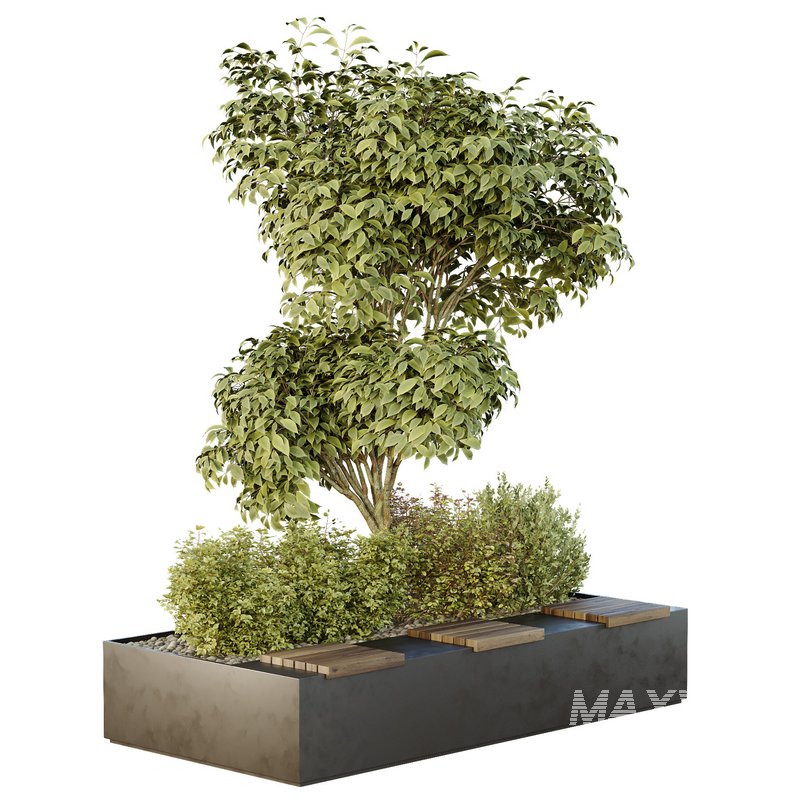 HQ Tree and bush garden box outdoor VOL 34 - Image 2