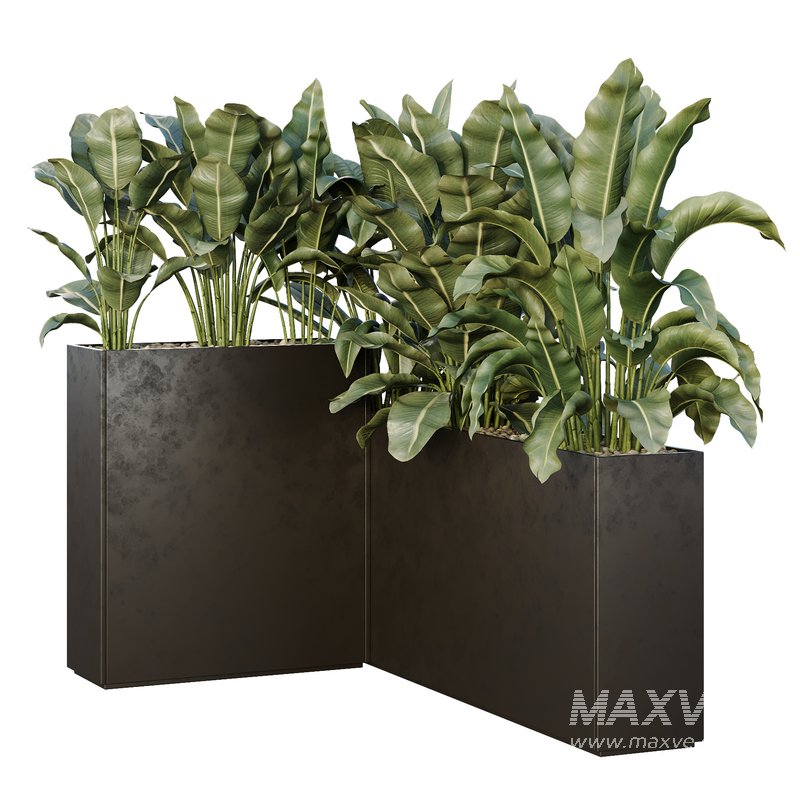 HQ Tree and bush garden box outdoor VOL 38 - Image 2