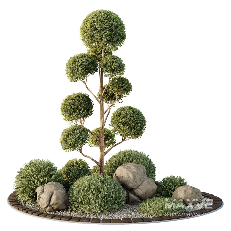 HQ Tree and bush garden box outdoor VOL 41 - Image 1