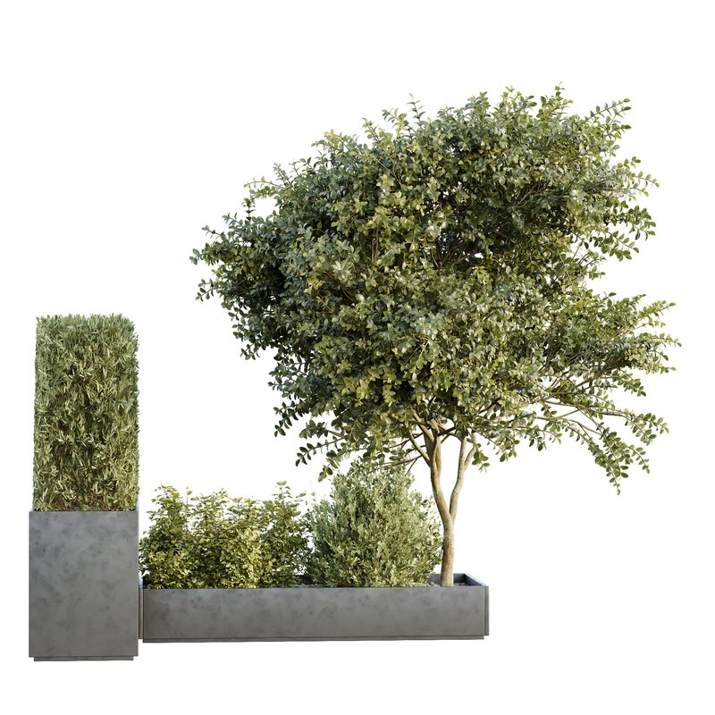 HQ Tree and bush garden box outdoor VOL 34 - Image 2