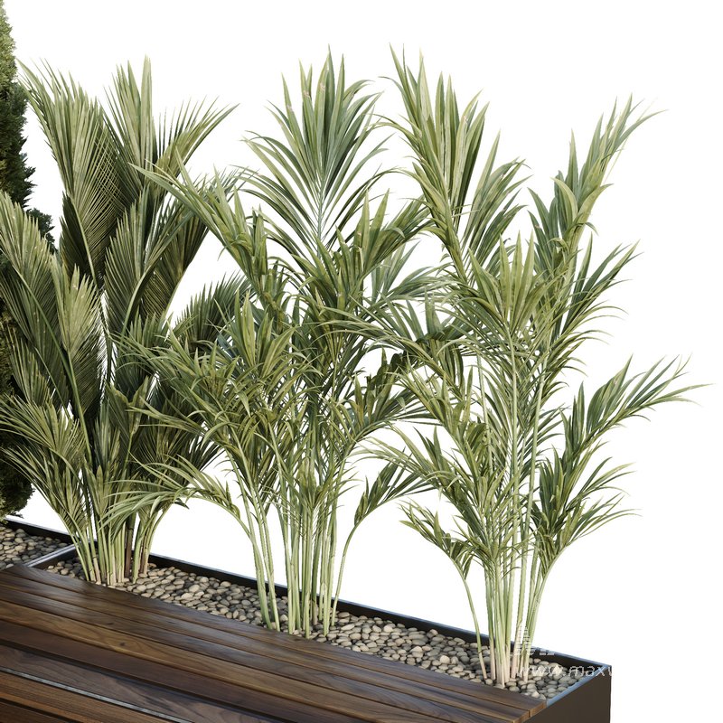 HQ Tree and bush garden box outdoor VOL 39 - Image 2