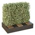 HQ Urban environment set of green plant benches 16 - Thumbnail 2
