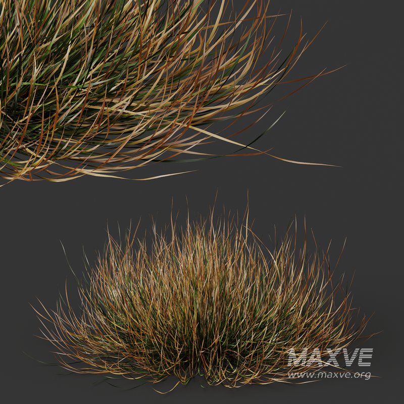 fall bush-6 different bush - Image 2