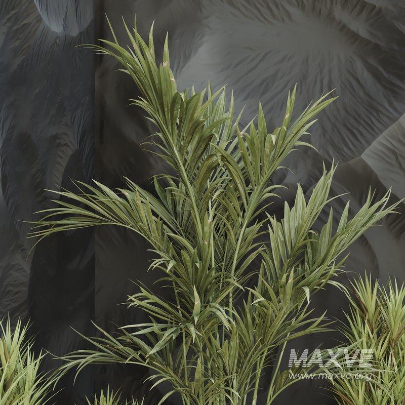 HQ Plants Indoor Set Box Glass02 - Image 3