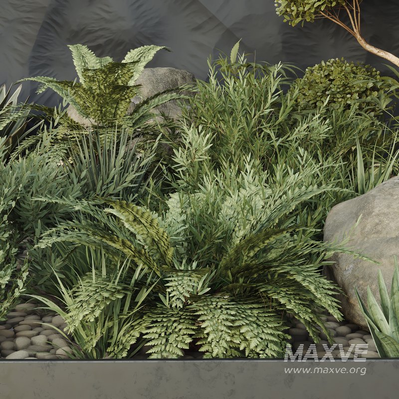 HQ Plants Indoor Set Box Glass03 - Image 4