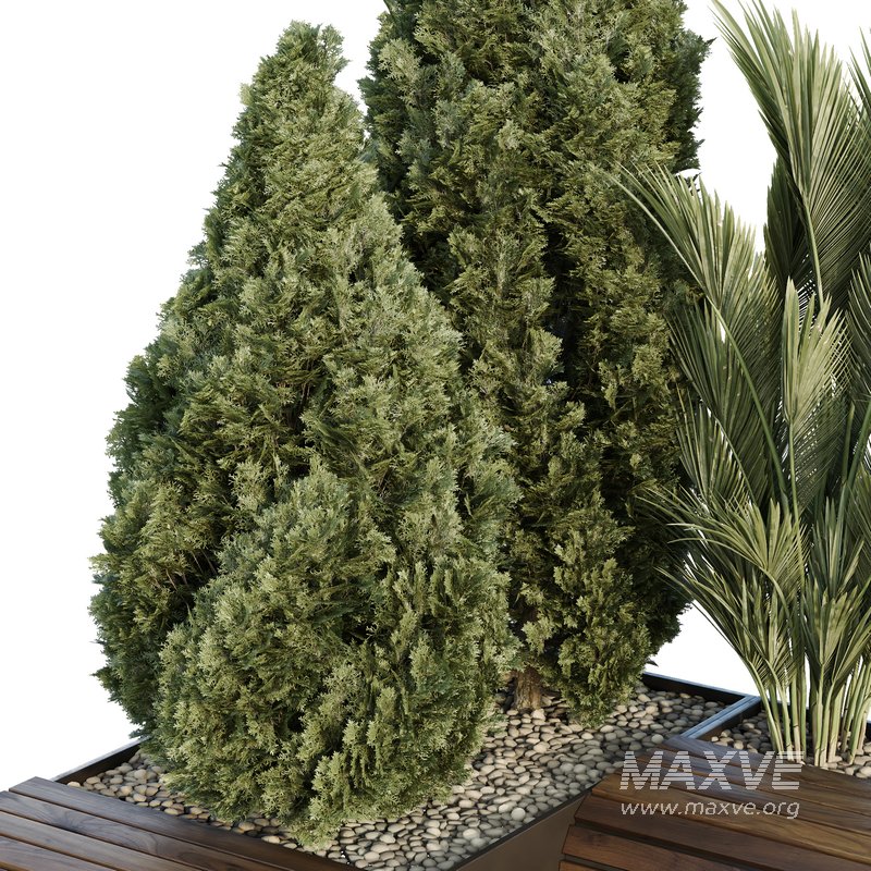 HQ Tree and bush garden box outdoor VOL 39 - Image 3