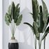 ParadiseBird and Rhapis Excelsa Lady Palm Vase 16 - Thumbnail 2