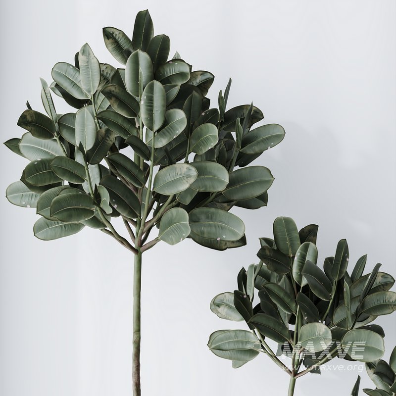 HQ Urban environment set of green plant benches 11 - Image 3