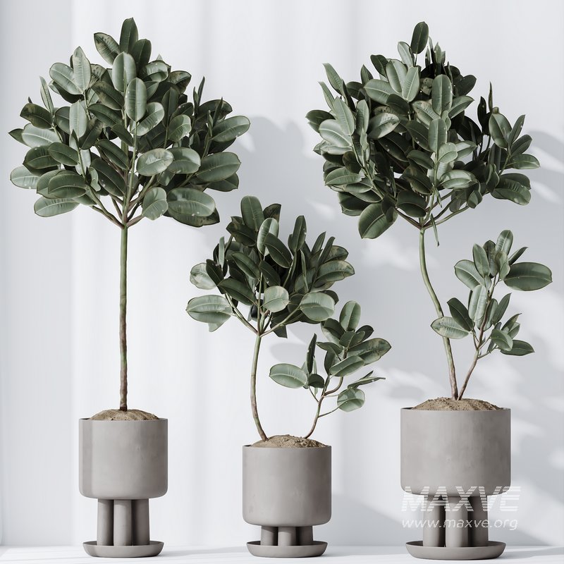 Elastica Abidjan Melany and Mission Olive Tree Vase 18 - Image 3