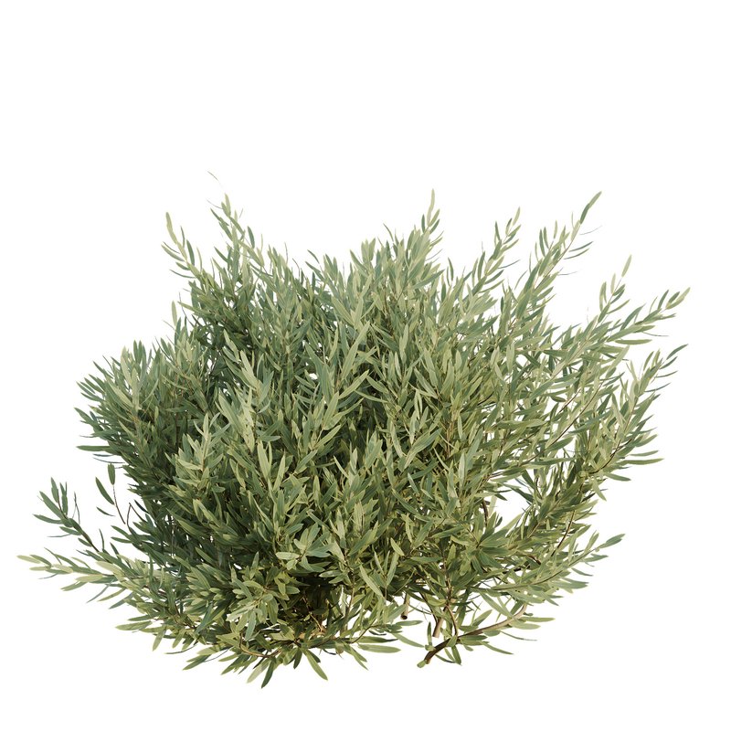 HQ Urban environment set of green plant benches 15 - Image 4