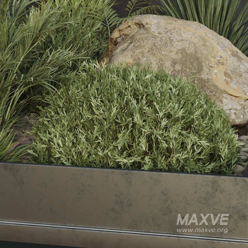 HQ Plants Indoor Set Box Glass02 - Image 4