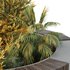 HQ Urban environment set of green plant benches 20 - Thumbnail 3