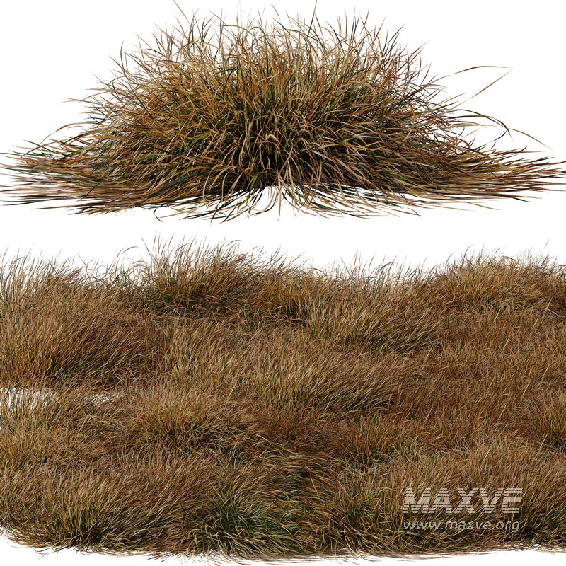 fall bush-6 different bush - Image 6