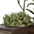 HQ Urban environment set of green plant benches 19 - Thumbnail 4