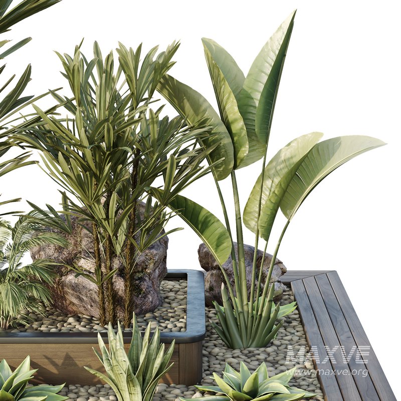 HQ Tree and bush garden box outdoor VOL 31 - Image 3