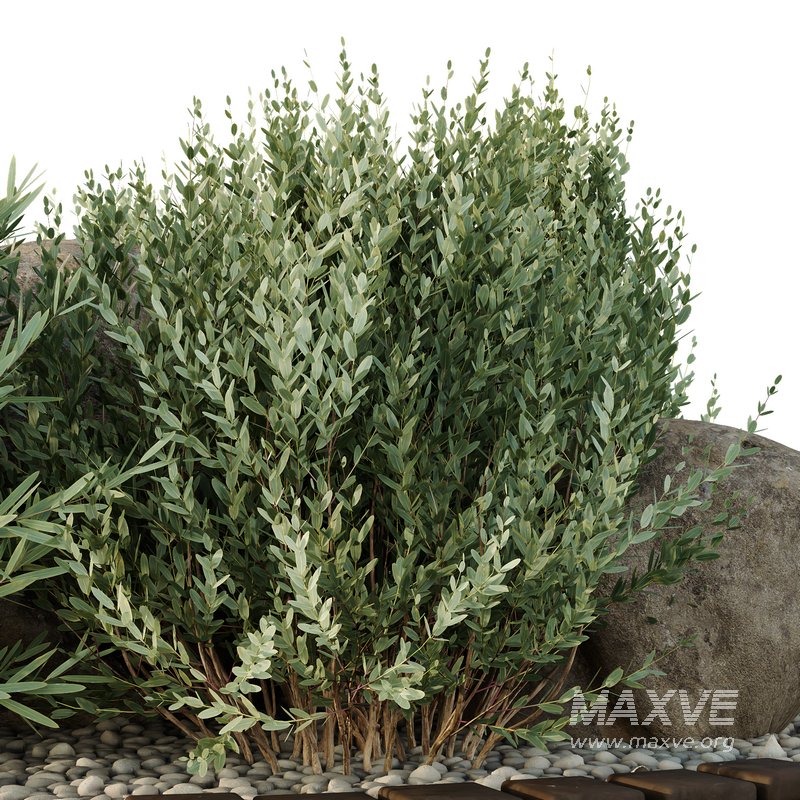 HQ Tree and bush garden box outdoor VOL 40 - Image 3
