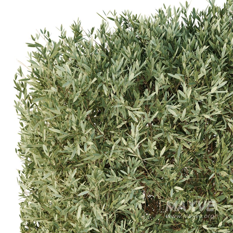 HQ Urban environment set of green plant benches 16 - Image 4