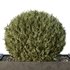 HQ Urban environment set of green plant benches 12 - Thumbnail 4