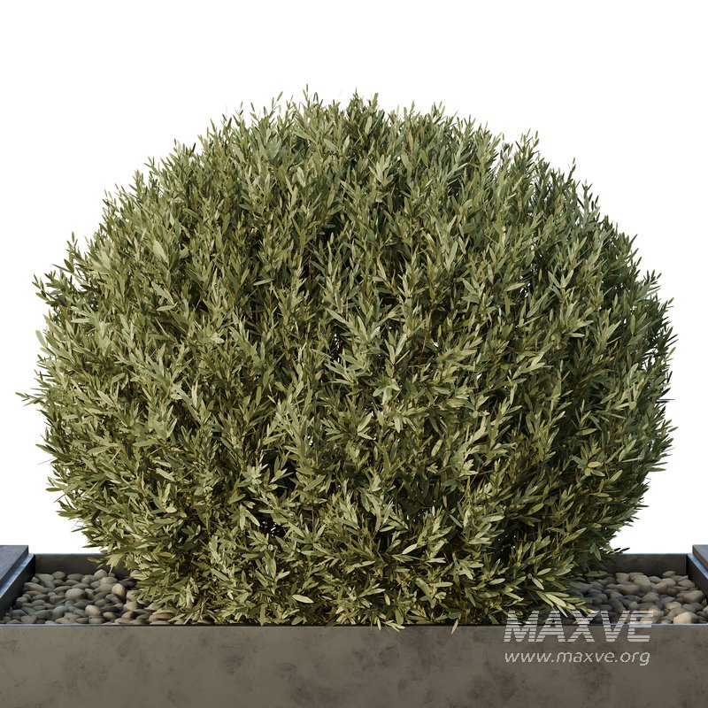 HQ Urban environment set of green plant benches 12 - Image 4