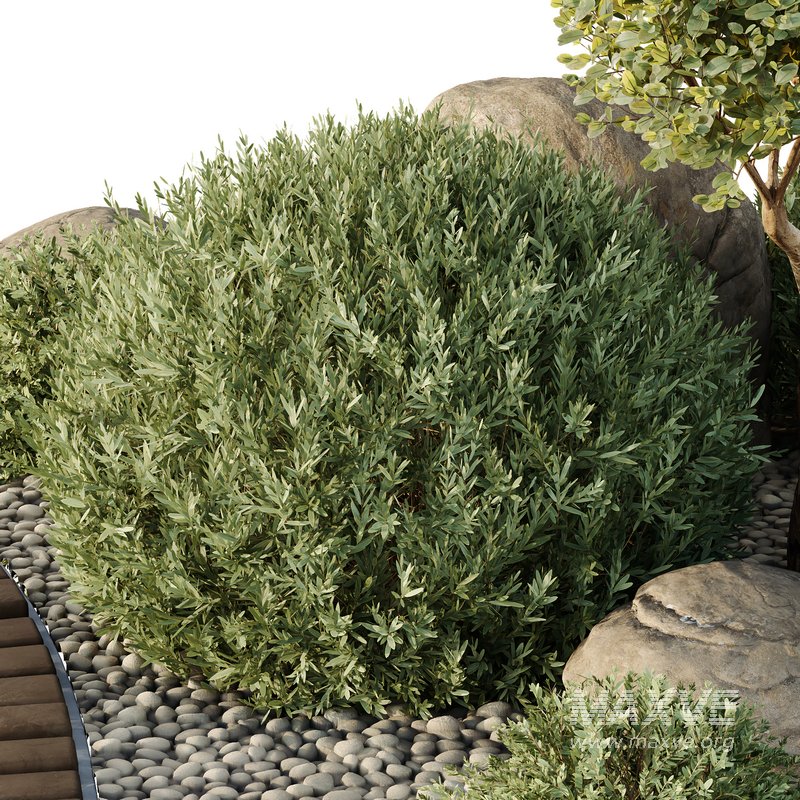 HQ Tree and bush garden box outdoor VOL 41 - Image 4