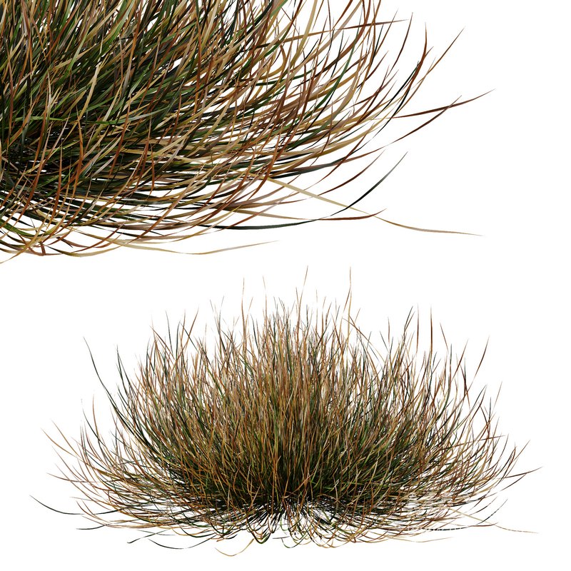 fall bush-6 different bush - Image 3