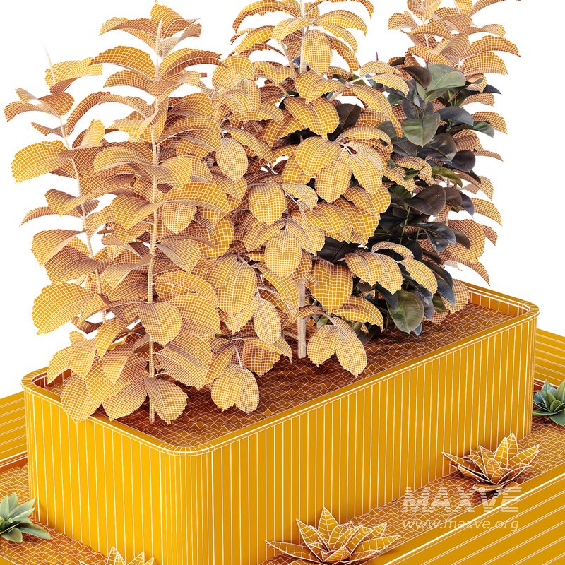 HQ Tree and bush garden box outdoor VOL 33 - Image 5