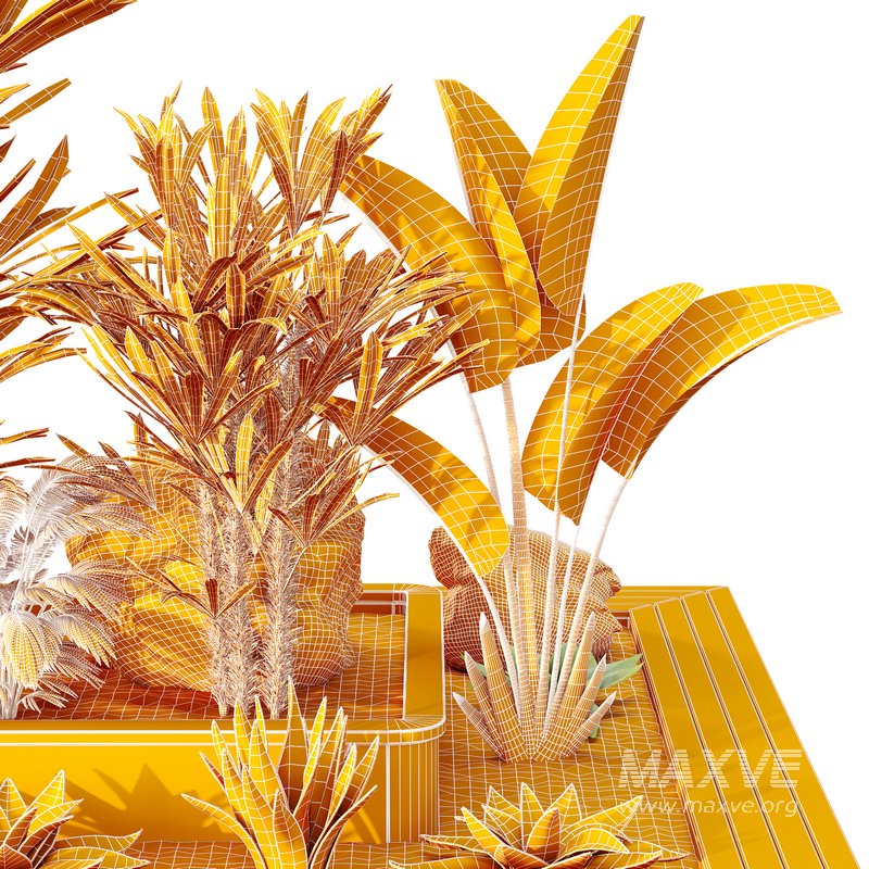 HQ Tree and bush garden box outdoor VOL 31 - Image 4