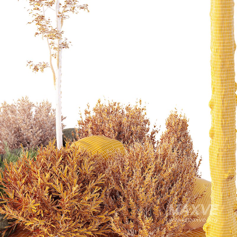 HQ Tree and bush garden box outdoor VOL 40 - Image 4