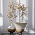 Mission Olive Tree Indoor and Yucca Elephantipes Gigantea Vase 17 - Thumbnail 5